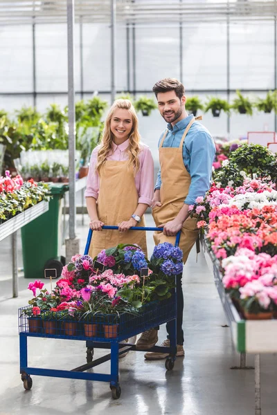 Jardineiros masculinos e femininos em pé de carrinho com flores em estufa — Fotografia de Stock