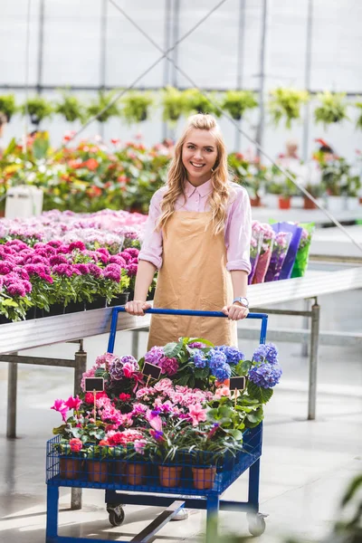 Bionda donna spingendo carrello con fiori in serra — Foto stock