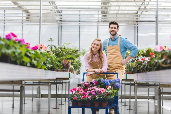 Young owners of greenhouse standing by cart with flowers in glasshouse — Stock Photo