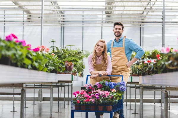 Jeunes propriétaires de serre debout en chariot avec des fleurs en serre — Photo de stock