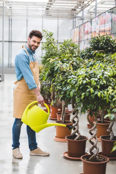 Uomo sorridente che innaffia piante verdi in serra — Foto stock