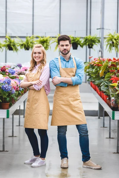 Gärtnerpaar steht inmitten von Blumen im Gewächshaus — Stockfoto