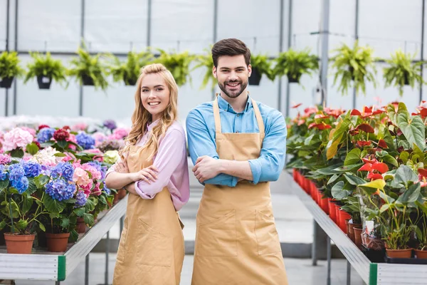 Blonde Frau und schöner Mann in Schürzen inmitten von Blumen im Glashaus — Stock Photo