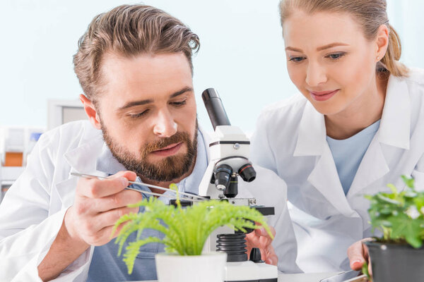 scientists working with microscope