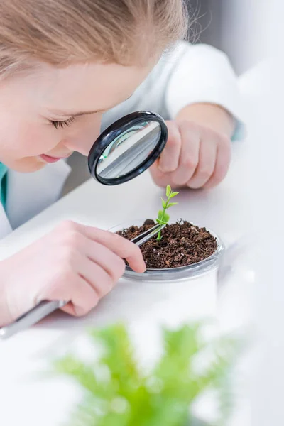 Menina com planta verde no laboratório — Fotografia de Stock
