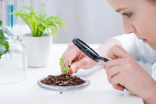 Fille avec plante verte en laboratoire — Photo