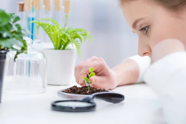 Mädchen mit grüner Pflanze im Labor — Stockfoto