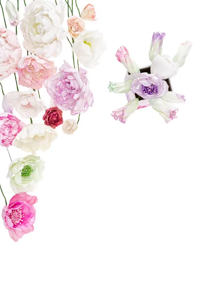 Színes bazsarózsa virágok — Stock Fotó