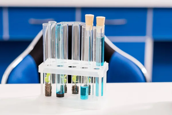 Tubes with plants in laboratory — Stock Photo