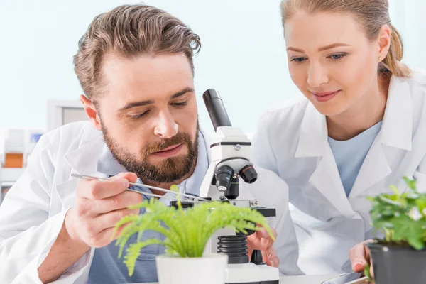 Scientists working with microscope — Stock Photo