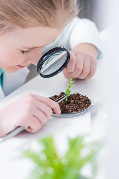 Mädchen mit grüner Pflanze im Labor — Stockfoto