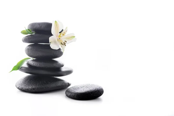 Zen-Steine mit Blume — Stockfoto
