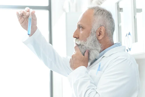 Старший бородатый учёный — Stock Photo