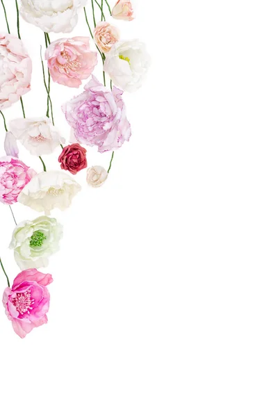 Красочные пионские цветы — стоковое фото