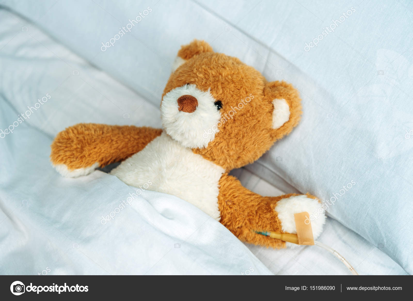 teddy in bed