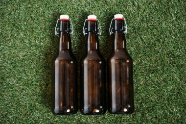 Beer bottles lying on grass clipart