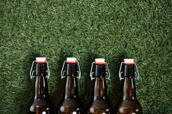 Пивные бутылки лежат на траве
