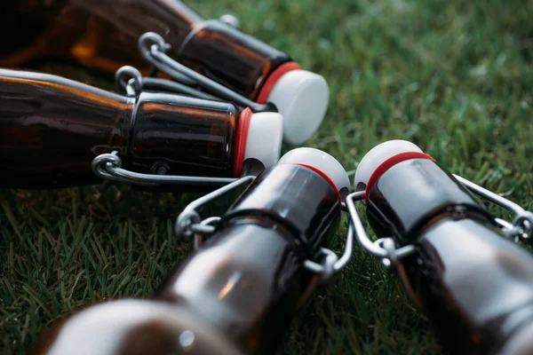 Μπουκάλια μπύρας, ξαπλωμένη στο γρασίδι — Φωτογραφία Αρχείου