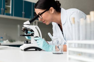 Scientist working with microscope   clipart