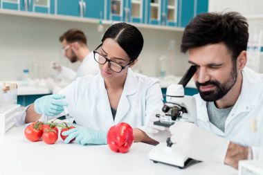 Scientists examining vegetables  clipart