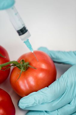 Scientist with syringe and tomatoes clipart