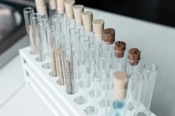 Test tubes in chemical laboratory — Stock Photo, Image