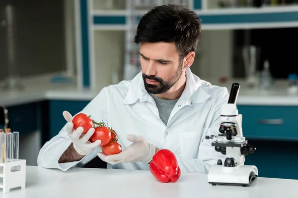 Учёный, изучающий овощи — стоковое фото