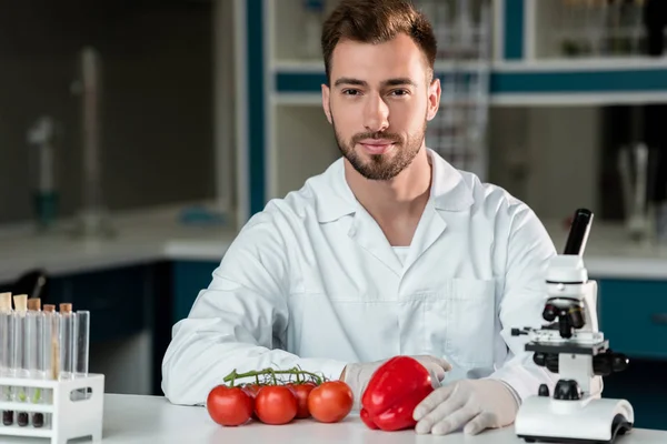 Scientist examining vegetables — Stock Photo, Image