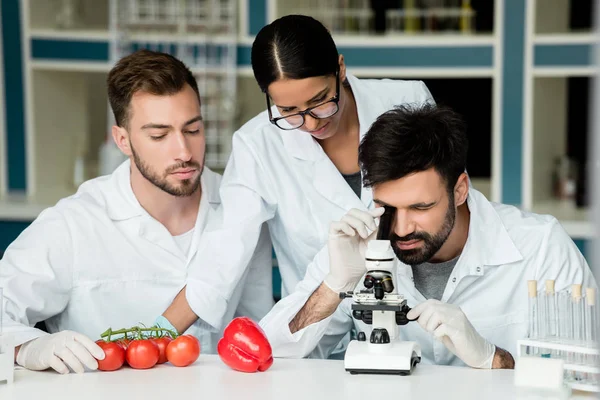 Científicos examinando verduras — Foto de Stock