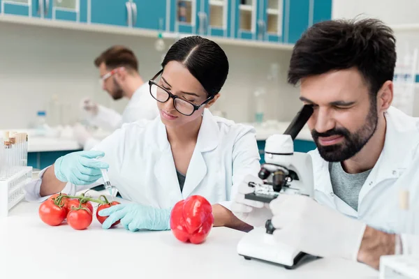 Cientistas que examinam vegetais — Fotografia de Stock