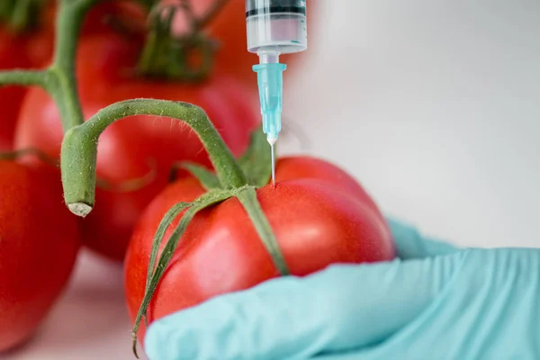 Científico con jeringa y tomates —  Fotos de Stock