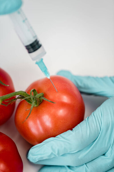 Scientist with syringe and tomatoes