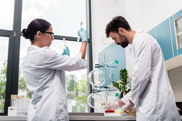 Scientists working in laboratory