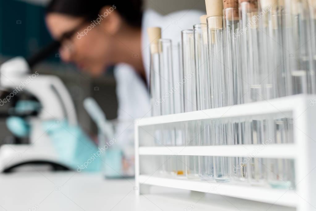 Test tubes in chemical laboratory