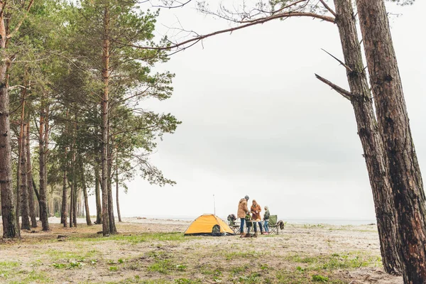Doğa üzerinde piknik aile — Stok fotoğraf