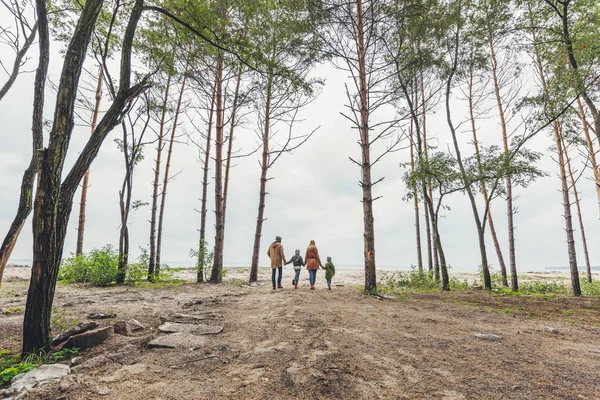 Familia cogida de la mano y caminando sobre la naturaleza — Foto de Stock