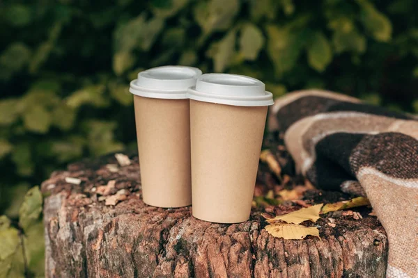Paper cups in stump — Stock Photo, Image