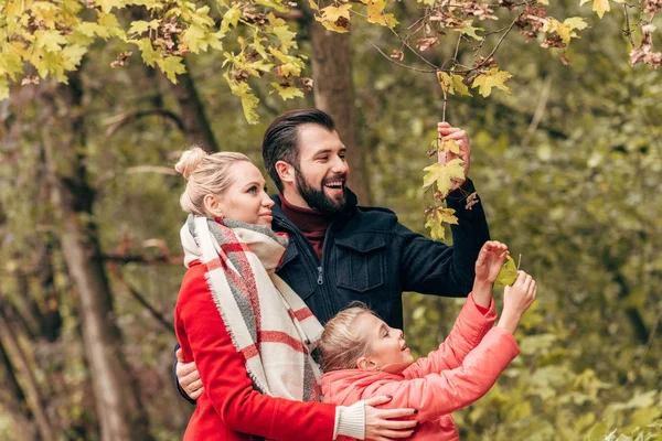 公園で紅葉を保持している家族 — ストック写真