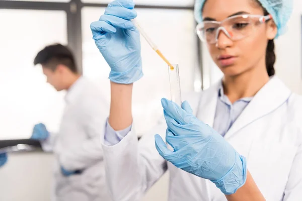 Cientista que trabalha com amostras — Fotografia de Stock