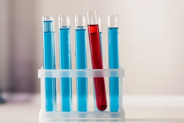 Test tubes with bright liquids — Stock Photo, Image