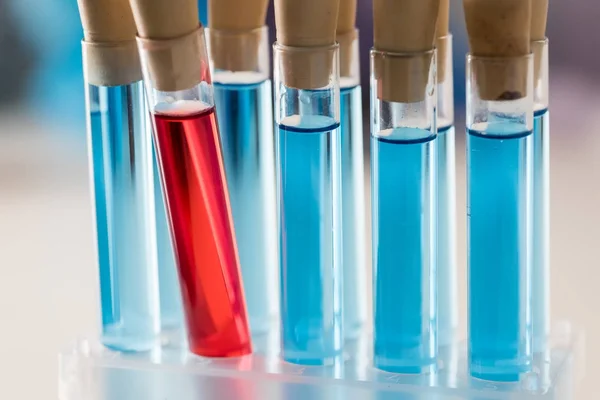 Test tubes with reagents — Stock Photo, Image