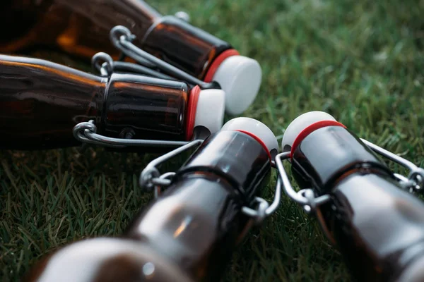 Bierflaschen liegen auf Gras — Stockfoto