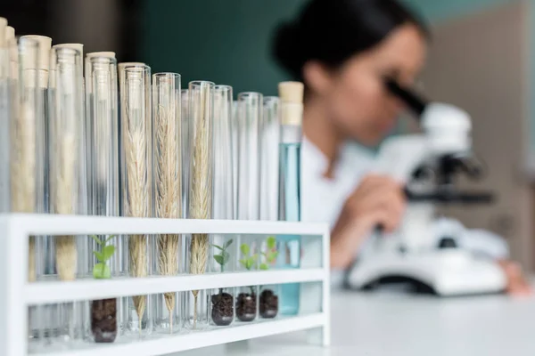 Tubos de teste em laboratório químico — Fotografia de Stock