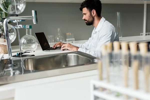 Scientist using laptop — Stock Photo