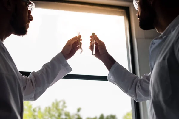 Cientistas segurando tubos de ensaio — Fotografia de Stock