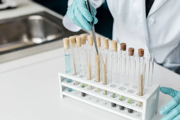 Scientist making experiment — Stock Photo