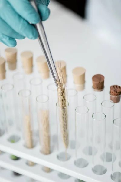 Scientist making experiment — Stock Photo