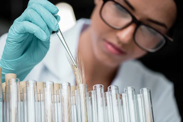 Scientist making experiment — Stock Photo