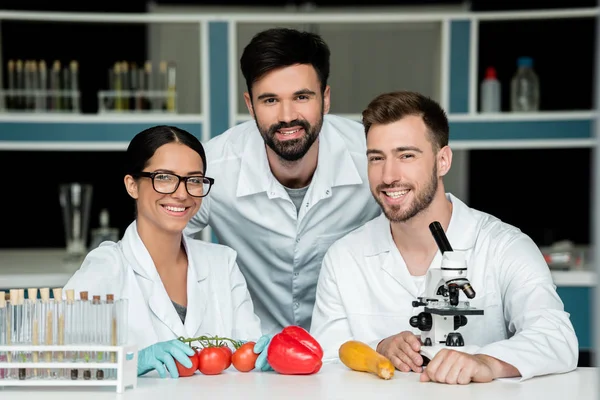 Científicos examinando verduras - foto de stock