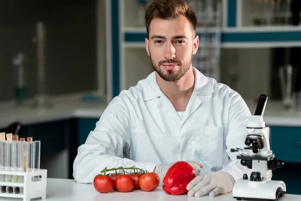 Cientista que examina vegetais — Fotografia de Stock